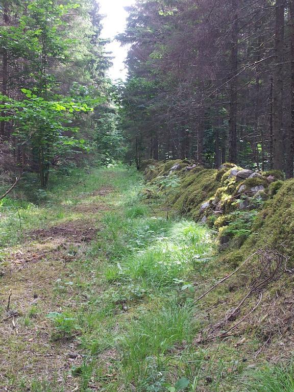 Maenniste Holiday Home Hiievalja Rom bilde