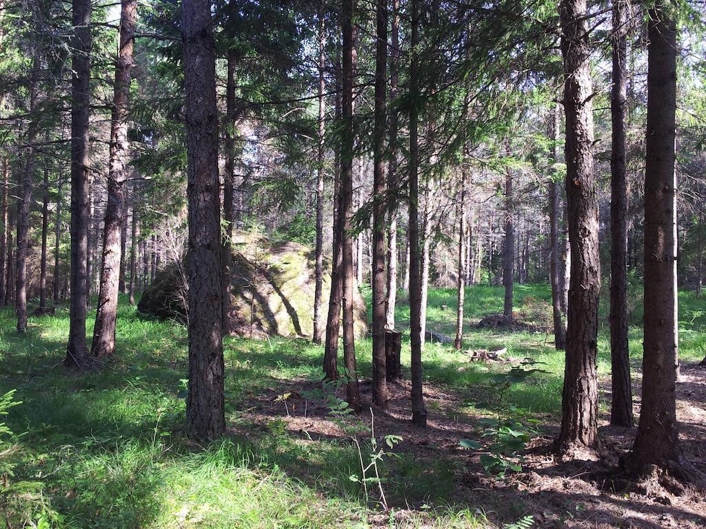 Maenniste Holiday Home Hiievalja Rom bilde