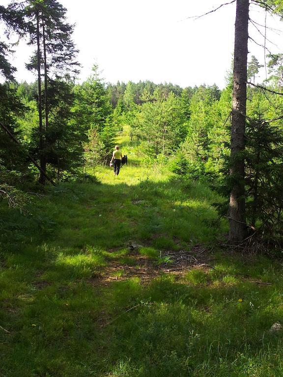 Maenniste Holiday Home Hiievalja Rom bilde